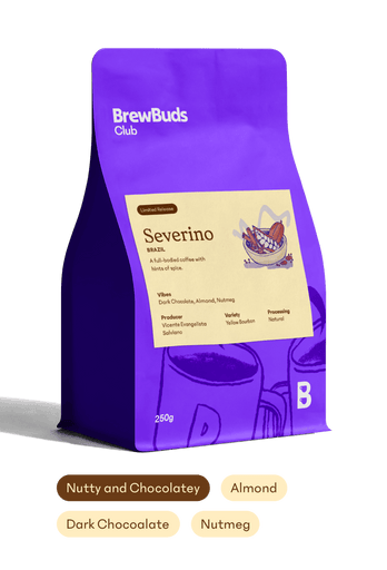 Severino | Brazil Starter Selection