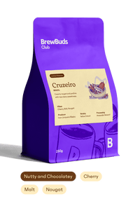 Cruzeiro | Brazil Starter Selection