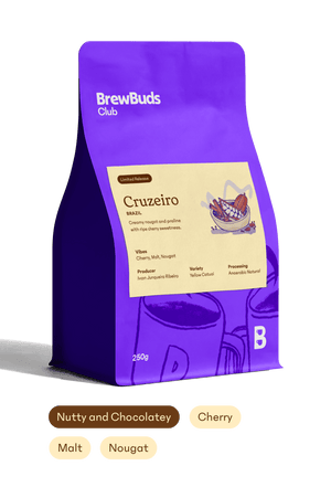 Cruzeiro | Brazil Starter Selection