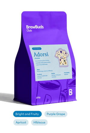 Adorsi | Ethiopia Starter Selection