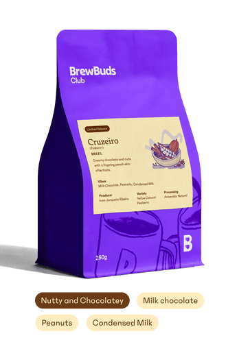 Cruzeiro (PB) | Brazil First Order