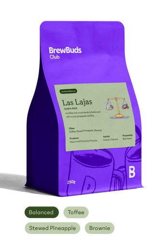 Las Lajas | Costa Rica Starter Selection