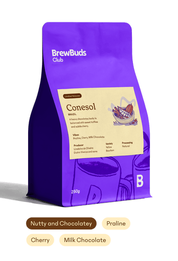Conesol | Brazil First Order