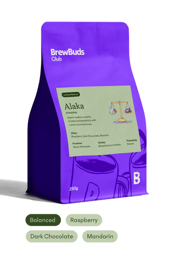 Alaka | Ethiopia Starter Selection
