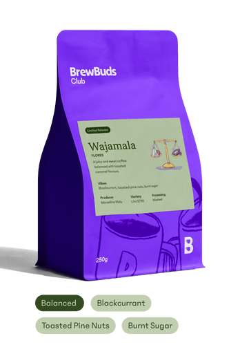 Wajamala | Flores Starter Selection