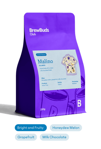 Malino | Sulawesi Starter Selection