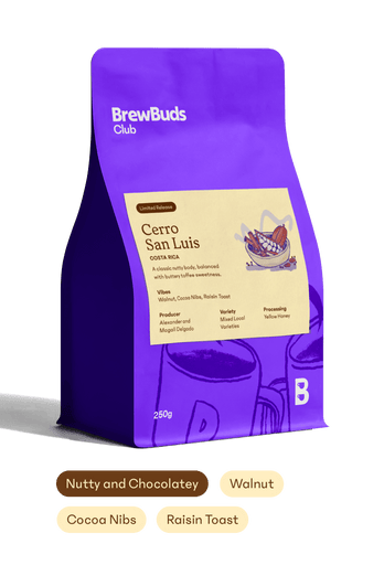 Cerro San Luis | Costa Rica Starter Selection