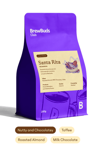 Santa Rita | Nicaragua Starter Selection