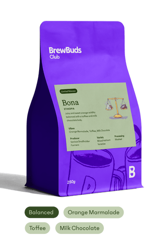 Bona | Ethiopia Starter Selection