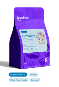El Pedrero | Honduras Starter Selection
