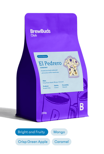 El Pedrero | Honduras First Order