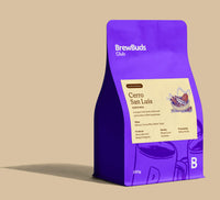 Cerro San Luis | Costa Rica | Limited Release