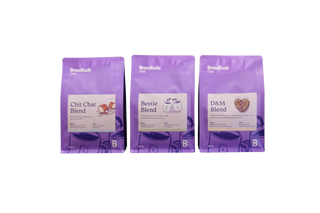 BrewBuds Discovery Pack