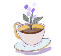 Coffee Subscription - Prepaid